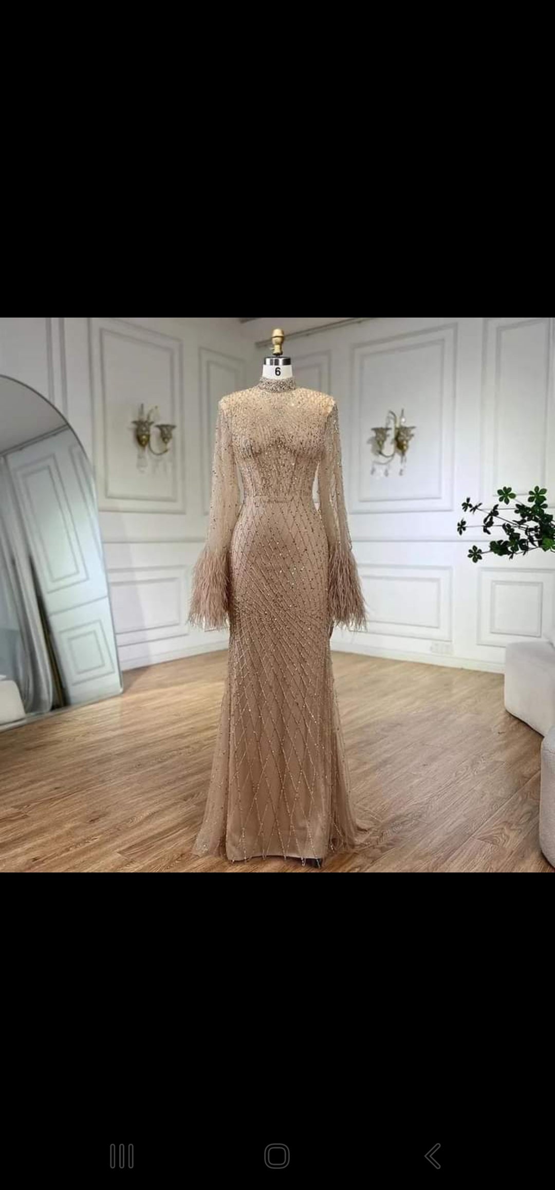 SC014 Nude Gold Feather Sleeve Dress